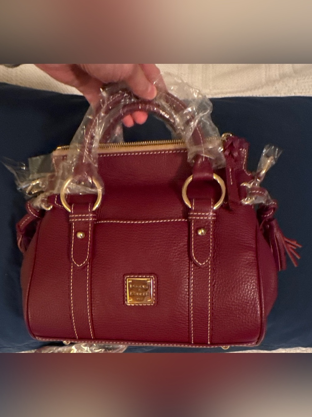 NWT Dooney & Bourke Lucca Leather Satchel With Pockets, Tassels, Color is Wine